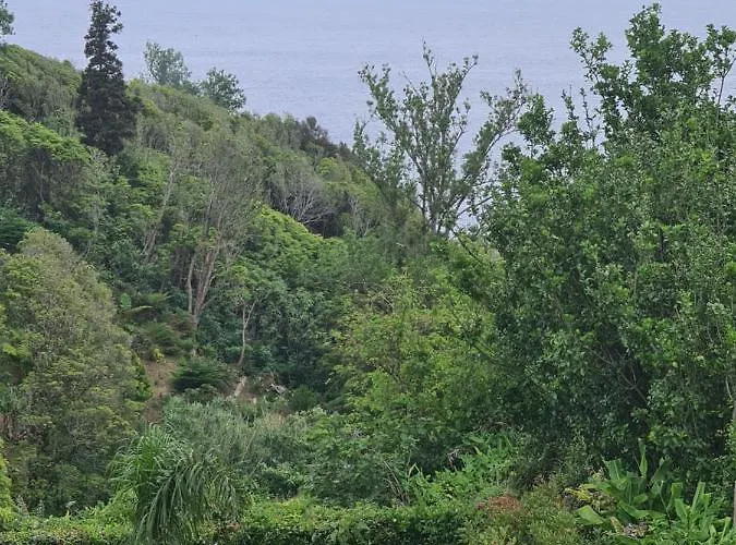 Ap Luso Brasileiro * Lajes das Flores